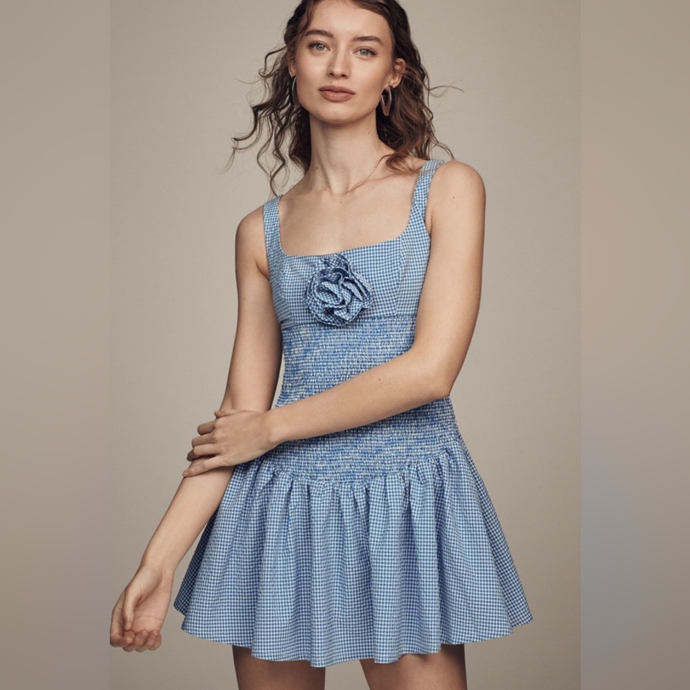 Smocked Rosette Drop-Waist Mini Dress